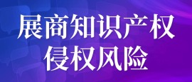 知识产权侵权风险