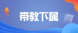 团队领导-带教下属